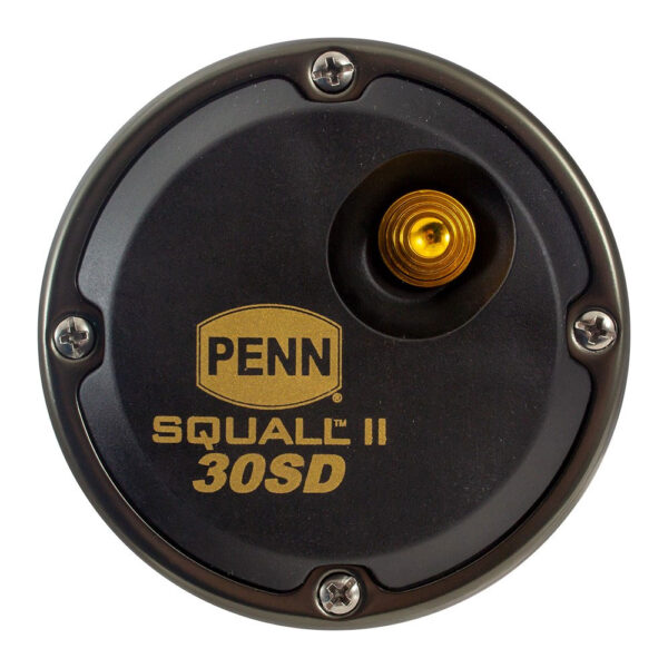 Penn Squall II 30 Star Drag