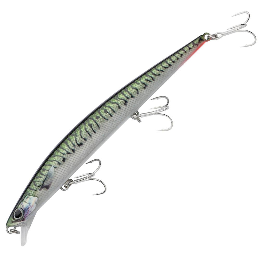 DEX-long-shot-green-mackerel