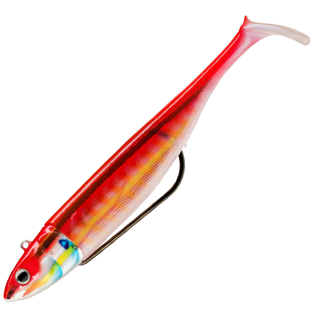 biscay-shad-rainbow-wrasse