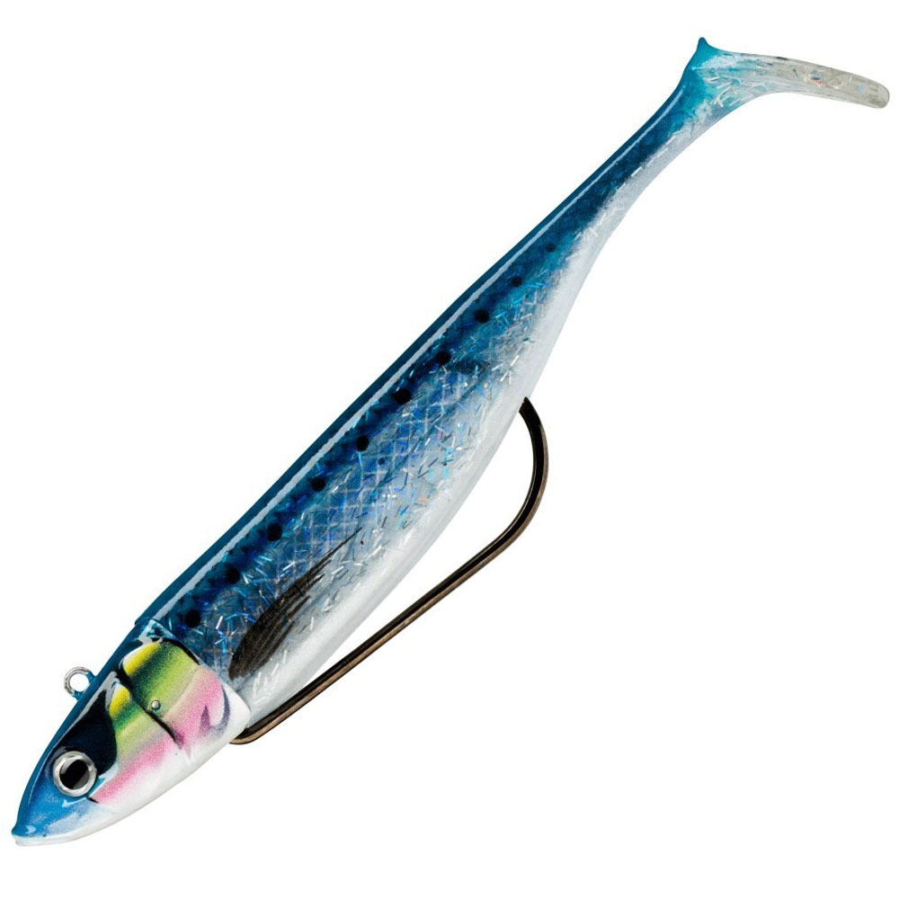 biscay-shad-sardine