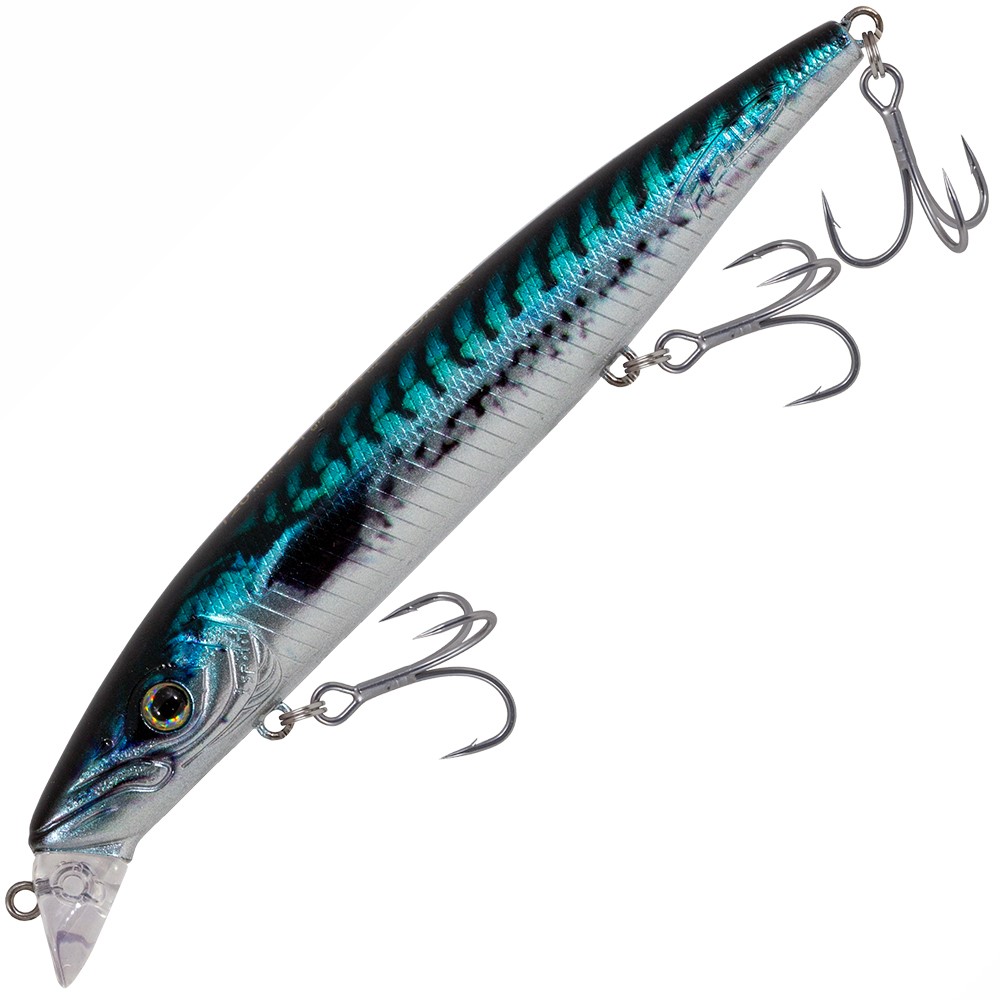 fishus-espetit-shallow-mackerel